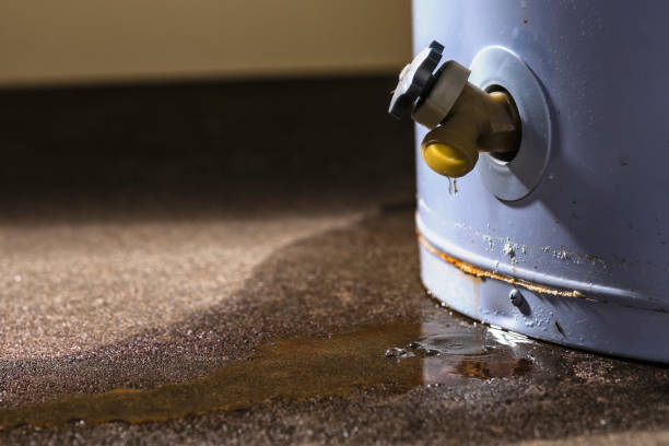 Best Sewage cleanup and water damage restoration  in St Lawrence, PA