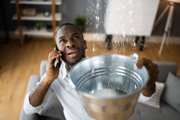 Best Emergency water damage restoration  in St Lawrence, PA