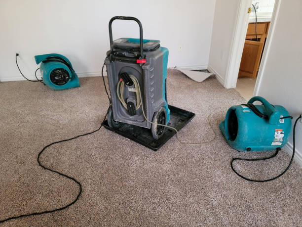 Best Local water damage restoration  in St Lawrence, PA