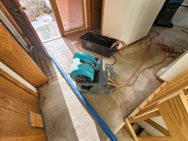 Best Mold removal after water damage  in St Lawrence, PA