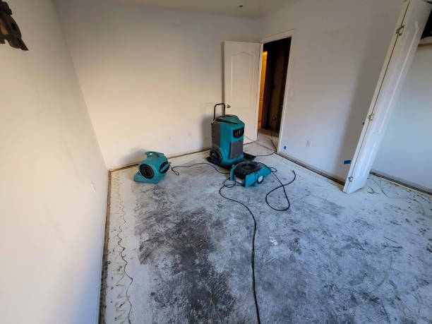 Best Water damage restoration near me  in St Lawrence, PA