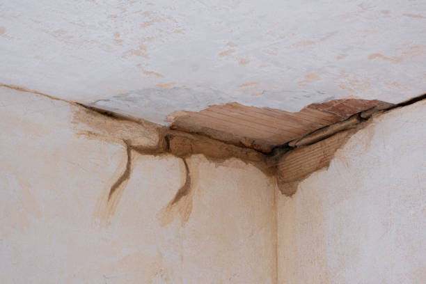 Best Water damage restoration insurance claims  in St Lawrence, PA