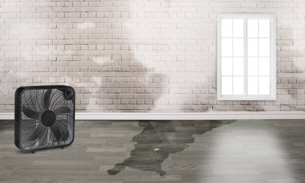 Reliable St Lawrence, PA Water damage restoration Solutions
