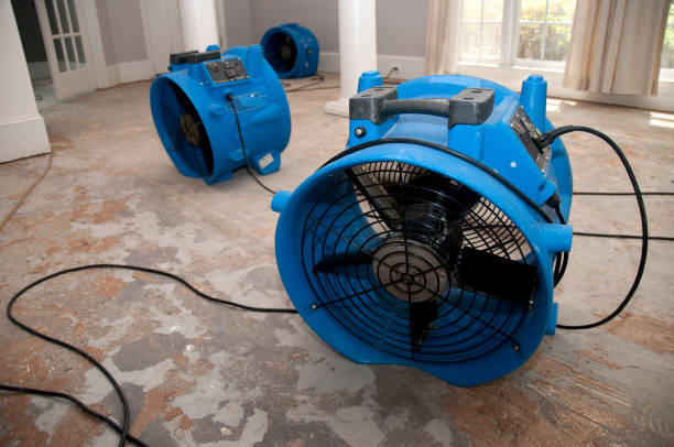 Best Water damage restoration process  in St Lawrence, PA
