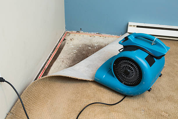 Best Water damage mitigation services  in St Lawrence, PA